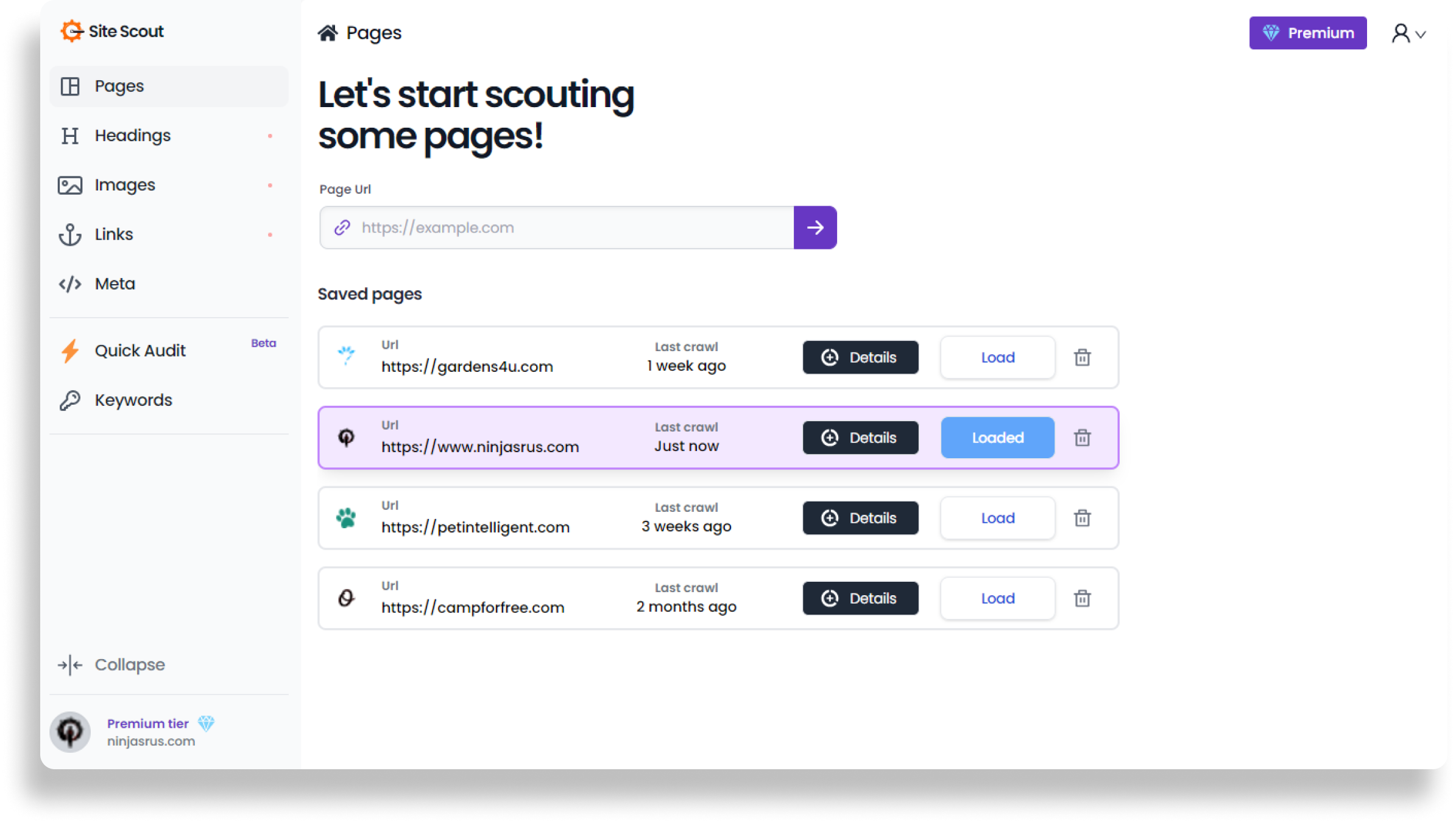 Site Scout SEO web app dashboard